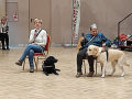 IMG_20230221_095640