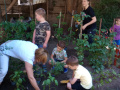 IMG_20230613_103002505