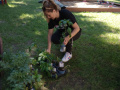 IMG_20230613_103058833