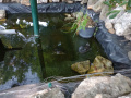 IMG_20230620_102103938