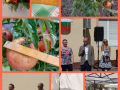 photocollage_20239513244297