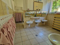 Rozsaszin-Pillango-6