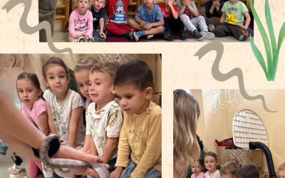 Állatok világnapja a Baross Óvodában